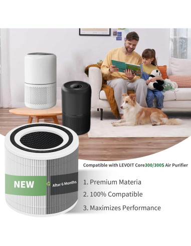 Filtro de Reemplazo HEPA H13 ASODME Core 300 - Paquete de 2