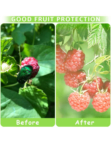 Bolsas de Protección para Frutas MIXC 50 Pcs 15x20 cm Organza