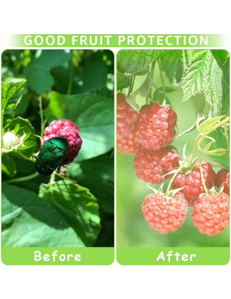 Bolsas de Protección para Frutas MIXC 50 Pcs 15x20 cm Organza