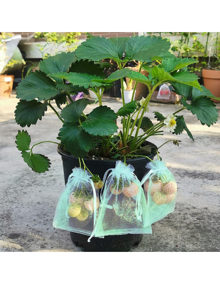 Bolsas de Protección para Frutas MIXC 50 Pcs 15x20 cm Organza