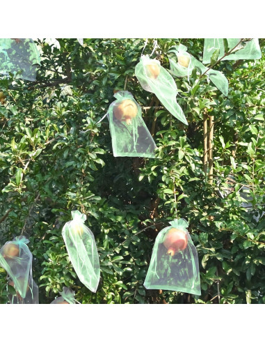 Bolsas de Protección para Frutas MIXC 50 Pcs 15x20 cm Organza