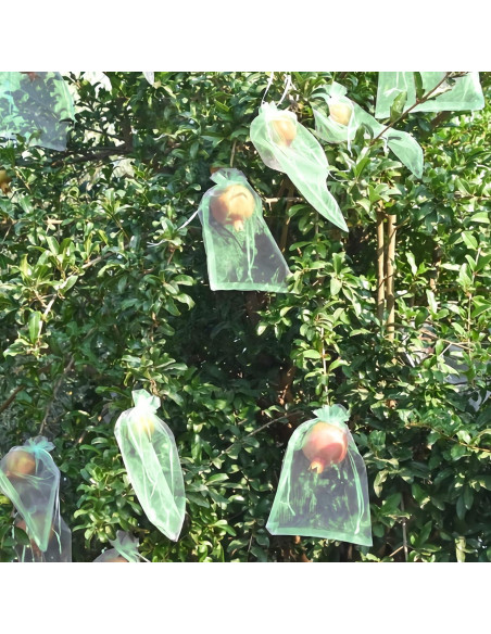 Bolsas de Protección para Frutas MIXC 50 Pcs 15x20 cm Organza