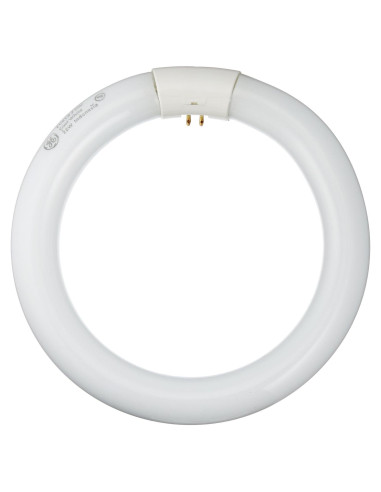 Bombilla Fluorescente T9 Circline GE 22W 21cm Blanco Frío