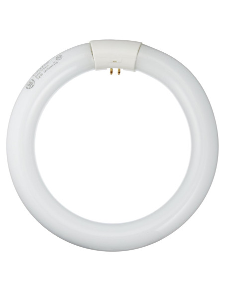 Bombilla Fluorescente T9 Circline GE 22W 21cm Blanco Frío