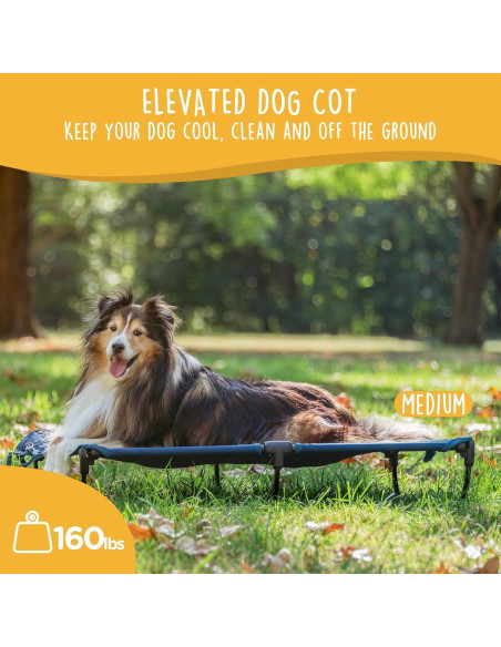 Cama Elevada Plegable Mediana para Perros Canine Canyon Azul