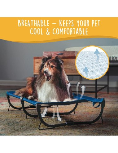 Cama Elevada Plegable Mediana para Perros Canine Canyon Azul