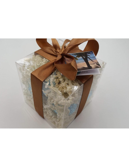 Set de 6 Bombas de Baño Efervescentes 8th & Ocean - Hidratantes