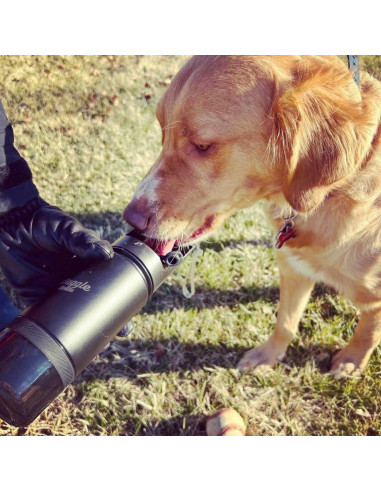 Botella de Agua para Perros Waggle 414ml Acero Inoxidable