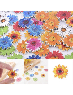 100 Botones de Madera Multicolor TEAMWILL 35mm para Costura 2