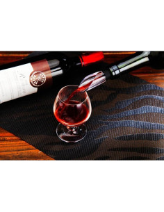 Enfriador de Vino 3 en 1 Acero Inoxidable con Aireador y Vertedor 2