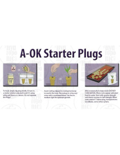 Grodan A-OK Tapones de Rockwool 1.5" - 98 Unidades para Hidroponía 2