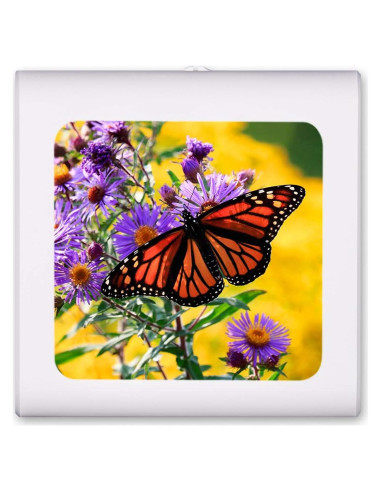 Luz Nocturna LED Art Plates Mariposa Regulable 0.5W