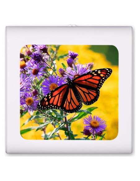 Luz Nocturna LED Art Plates Mariposa Regulable 0.5W