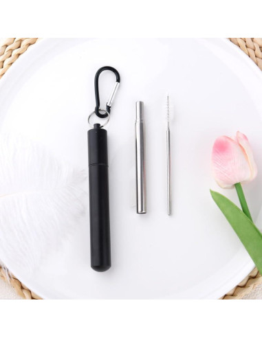 Popote Plegable Reutilizable Sisadodo con Estuche y Cepillo