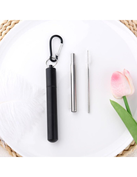 Popote Plegable Reutilizable Sisadodo con Estuche y Cepillo