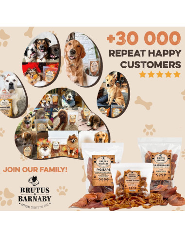 Orejas de Cerdo Enteras Brutus & Barnaby 12 Ct - Masticables Naturales