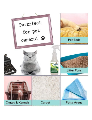 Gone For Good - Removedor Enzimático de Manchas y Olores 3.78L