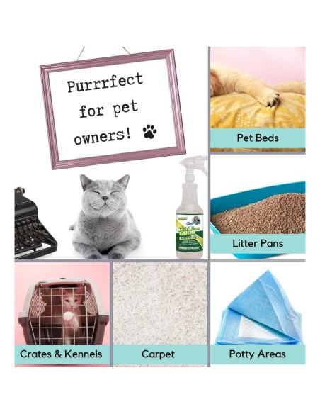 Gone For Good - Removedor Enzimático de Manchas y Olores 3.78L