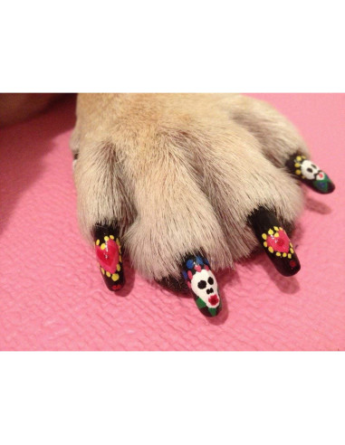 Bolígrafos de Esmalte para Uñas de Perro Warren London Verde Neón