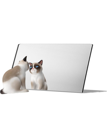 Espejo Acrílico 18 x 13 cm Respaldo Inclinable Marketing Holders