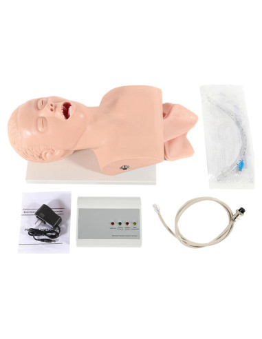 Modelo Humano de Intubación Endotraqueal PVC MUSESPANI