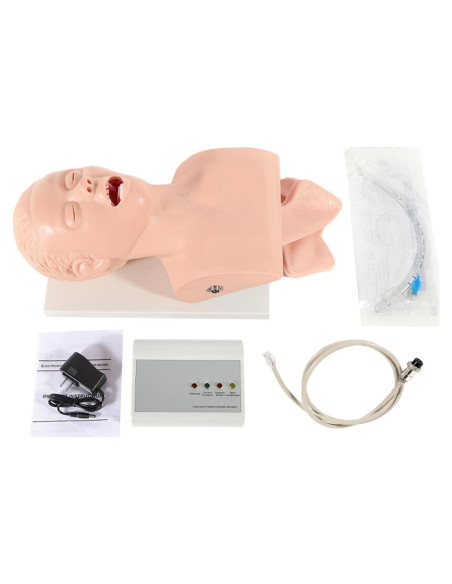 Modelo Humano de Intubación Endotraqueal PVC MUSESPANI