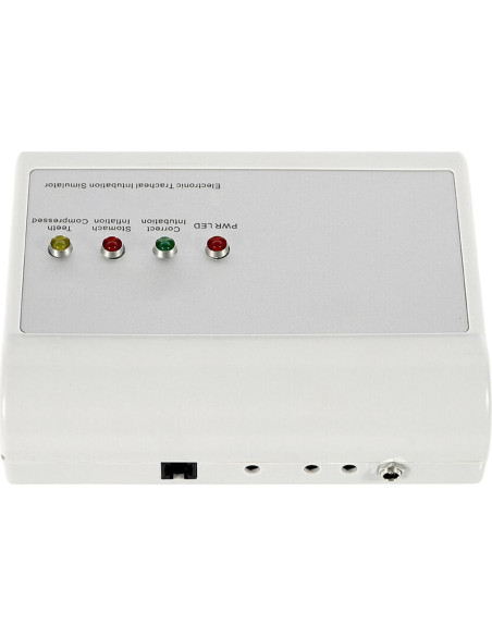 Modelo Humano de Intubación Endotraqueal PVC MUSESPANI