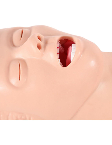 Modelo Humano de Intubación Endotraqueal PVC MUSESPANI