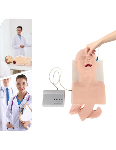 Modelo Humano de Intubación Endotraqueal PVC MUSESPANI