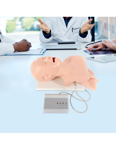 Modelo Humano de Intubación Endotraqueal PVC MUSESPANI