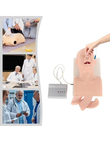 Modelo Humano de Intubación Endotraqueal PVC MUSESPANI