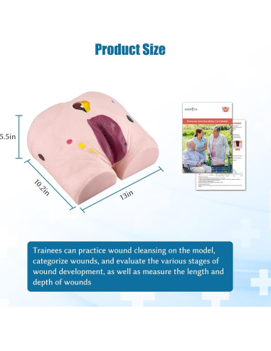 Modelo de Úlcera por Decúbito JNMFTD - 4 Etapas Realistas