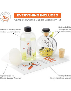 Ecosistema Acuático Autosostenible Rainforest 8.89cm 2