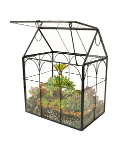 Terrario Geométrico de Vidrio ElegantLife 18x12cm para Suculentas