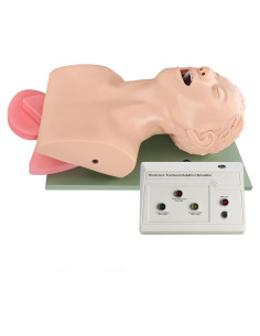 Simulador de Intubación Endotraqueal Healthible - Maniquí Adulto PVC