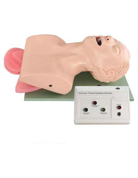 Simulador de Intubación Endotraqueal Healthible - Maniquí Adulto PVC