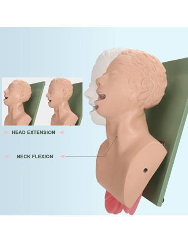 Simulador de Intubación Endotraqueal Healthible - Maniquí Adulto PVC