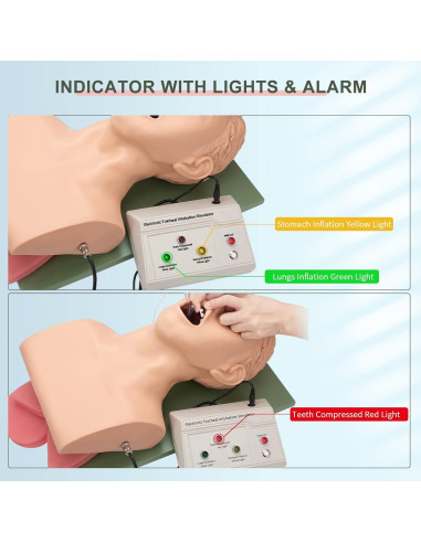 Simulador de Intubación Endotraqueal Healthible - Maniquí Adulto PVC