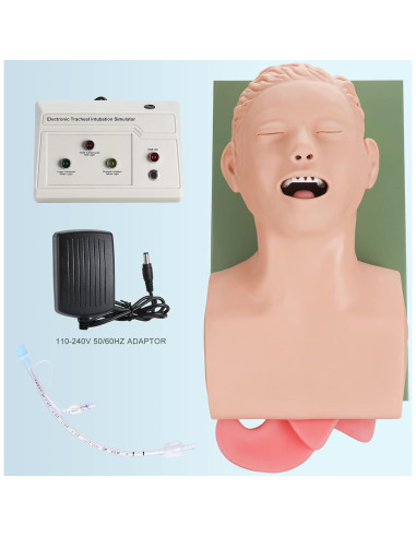 Simulador de Intubación Endotraqueal Healthible - Maniquí Adulto PVC