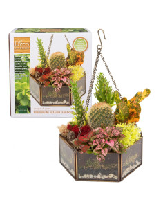 Terrario Colgante de Vidrio D'Eco Mini Hexágono 16.5x6.3cm