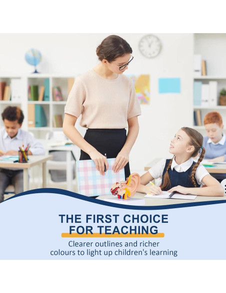 Modelo Anatómico 3D del Oído Humano Healthible 1.5x