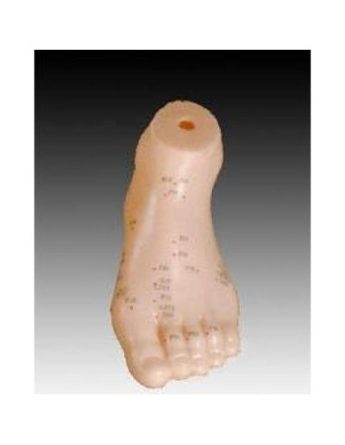 Modelo de Pie de Plástico K.S. Choi 12.7x6.6 cm Acupuntura
