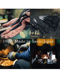 Kit de Tijeras de Bonsai Wazakura + Borrador de Resina Japonés 2