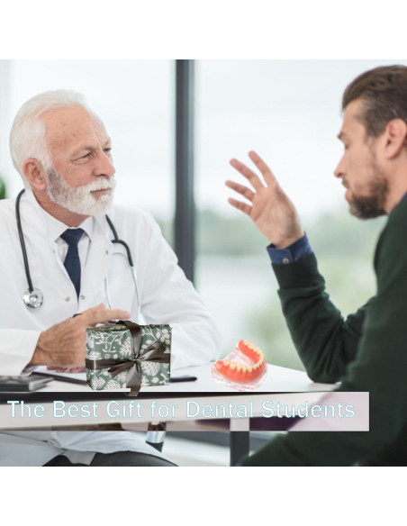 Modelo Dental Sobredentadura Desmontable Kouyot - Mandíbula Inferior