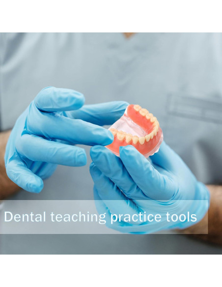 Modelo Dental Sobredentadura Desmontable Kouyot - Mandíbula Inferior