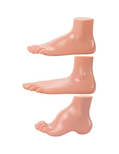 Modelo de Anatomía del Pie Humano Axis Scientific - Conjunto 3 Pies