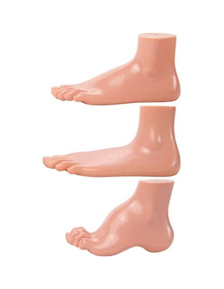 Modelo de Anatomía del Pie Humano Axis Scientific - Conjunto 3 Pies