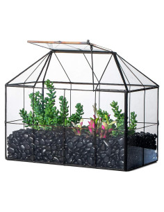 Terrario Geométrico de Vidrio NCYP con Tapa Oscilante 25x13.5x20cm