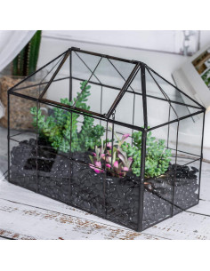 Terrario Geométrico de Vidrio NCYP con Tapa Oscilante 25x13.5x20cm 2