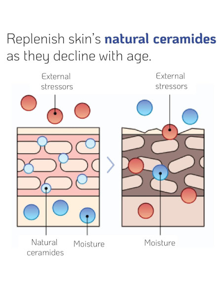 Concentrado de Ceramida Nano Recipe 41ml - Hidratante Regenerador
